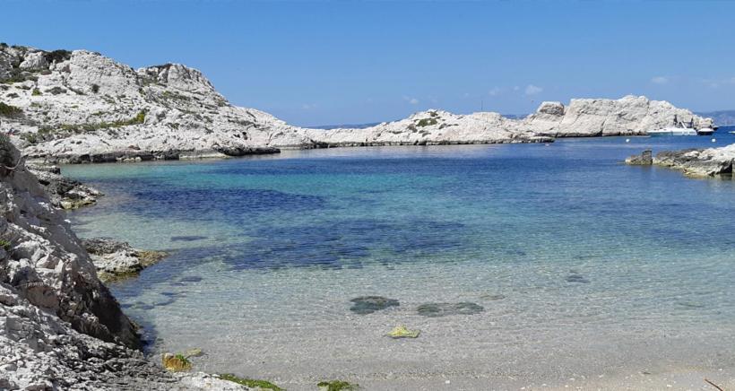 Appartement Bleu Caraibes T4 Proche Gare Et Vieux Port Marseille Eksteriør billede